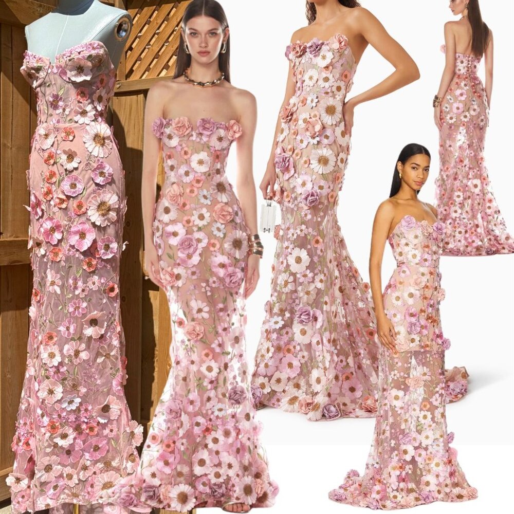 🆕 BRONX & BANCO 🧿 NWOT Jasmine Floral-Appliqued Gown, Pastel Pink SzXS US 2